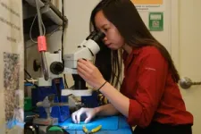 Rice U. students engineer socks for on-the-go neuropathy treatment 2