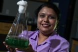 Rice U. study: Algae from wastewater solves 2 problems 2