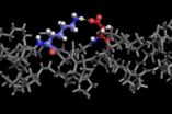 Rice University lab encodes collagen