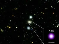 Right on schedule: Physicists use modeling to forecast a black hole's feeding patterns with precision 2