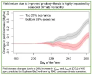 RIPE researchers model ‘link’ between improved photosynthesis and increased yield