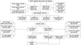 Rising alcohol-related liver cancer prompts new prediction tool