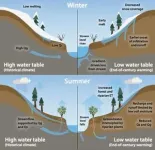 Rising temperatures will significantly reduce streamflow in the upper Colorado river basin as groundwater levels fall, new research shows 2