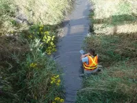 Rivers may not recover from drought for years