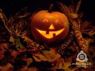 Riviera Maya Vacation Package Offers Spooky Fun Halloween Rates