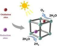 Roadmap drafted for research into metallic ‘sponges’ for clean hydrogen