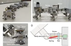 Robot centipedes go for a walk 2