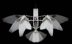 Robot flies like a bird