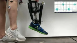 Robotic prosthetic ankles improve ‘natural’ movement, stability