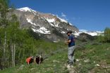 Rocky Mountain wildflower season lengthens by more than a month 2