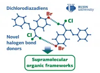 RUDN University chemists create substances for supramolecules' self-assembly