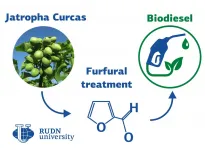 RUDN University chemists synthesize biodiesel from jatropha curcas plant