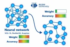 RUDN University mathematicians reduced neural network size six times without post-training