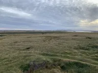 Rugged Falklands landscape was once a lush rainforest