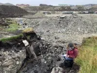 Rugged Falklands landscape was once a lush rainforest 2