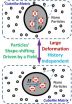 Rutgers researchers identify materials that may deliver more bounce