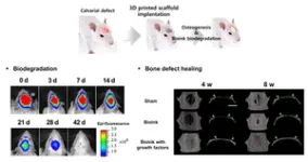 Safe bioink for artificial organ printing 2