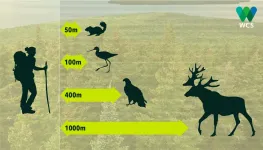 Safe distance: How to make sure our outdoor activities dont harm wildlife