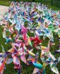 Sagemont, a College Prep in Fort Lauderdale, Celebrates International Day of Peace With Pinwheels For Peace Project 2