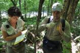 Salamanders shrinking as their mountain havens heat up 2