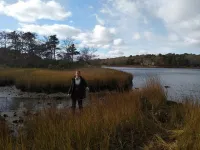 Salt marshes trap microplastics in their sediments, creating record of human plastic use