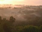 Salt seeds clouds in the Amazon rainforest