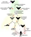 SARS-CoV-2 jumped from bats to humans without much change