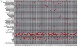 SARS-CoV-2 mRNA booster vaccinations increased and sustained the antibody responses 3