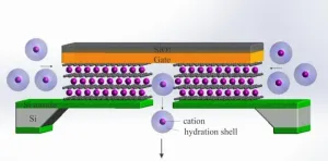 Scaling down Ionic Transistors to the ultimate limit