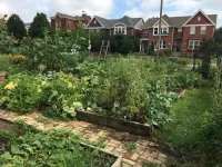 Scaling up urban agriculture: Research team outlines roadmap