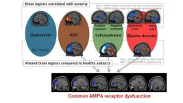 Scanning synaptic receptors: A game-changer for understanding psychiatric disorders