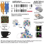 Schizophrenia is associated with somatic mutations occurring in utero