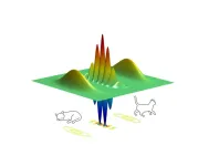 Schrödinger’s cat makes better qubits