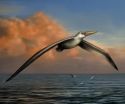 Scientist identifies world's biggest-ever flying bird 3