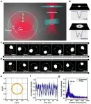 Scientists achieve ultra-fast optical orbiting of nanoparticles at subdiffraction scale