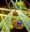 Scientists build mechanically active DNA material