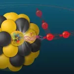 Scientists calculate predictions for meson measurements 2