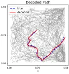 Scientists can tell where a mouse is looking and located based on its neural activity