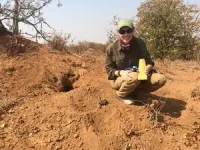 Scientists collect aardvark poop to understand how the species is impacted by climate in Africa 3