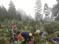 Scientists create new overwintering sites for monarch butterflies on a warming planet