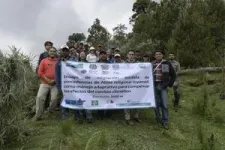 Scientists create new overwintering sites for monarch butterflies on a warming planet 2