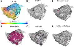 Scientists created technology to detect and treat complex arrhythmias