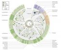 Scientists decipher 3 billion-year-old genomic fossils