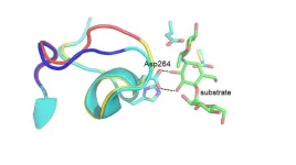 Scientists designed new enzyme using Antarctic bacteria and computer calculations