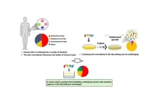 Scientists develop breakthrough culture system to unlock secrets of skin microbiome