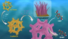 Scientists develop corrosion-induced electrodes for biomass upgrading