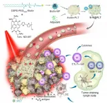 Scientists develop new platelet-based formulation for combination anticancer therapy