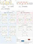 Scientists develop novel self-healing electronic skin for health monitoring 3