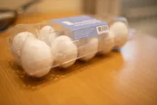 Scientists developed a safe and cheap technology of disinfection of the packed eggs