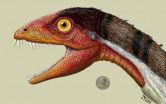 Scientists discover a new species of dinosaur, bridging a gap in the dinosaur family tree 